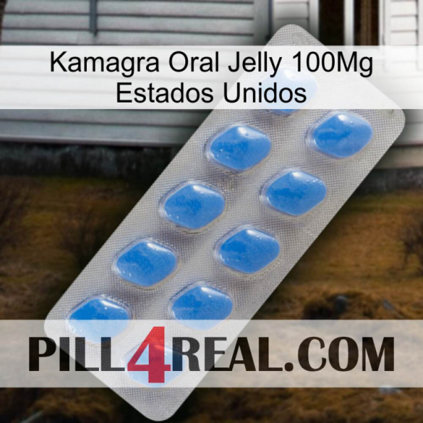 Kamagra Oral Jelly 100Mg Usa 22.jpg